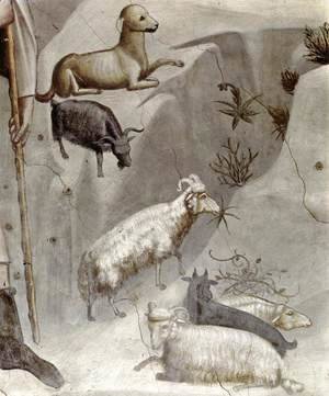 Giotto Di Bondone - No. 5 Scenes from the Life of Joachim- 5. Joachim's Dream (detail) 1304-06