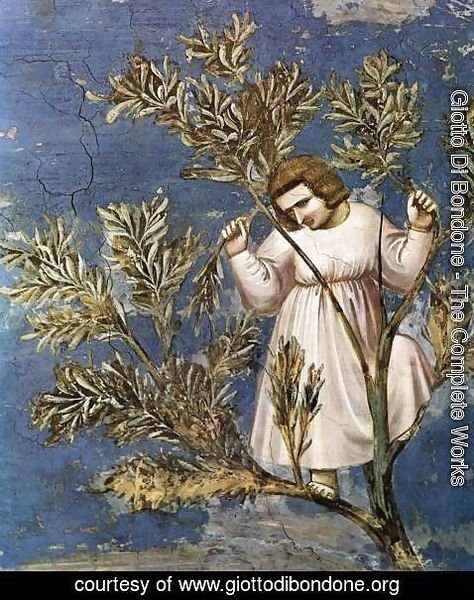 Giotto Di Bondone - No. 26 Scenes from the Life of Christ- 10. Entry into Jerusalem (detail) 1304